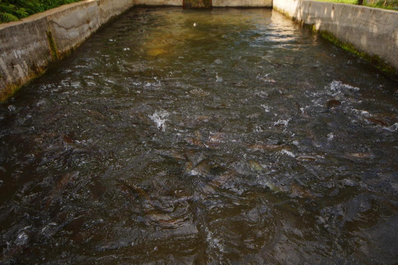 فندق Oasis Gasamania باتومي المظهر الخارجي الصورة
